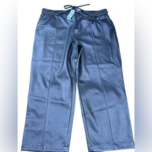 🖤🔥NWT Ann Taylor LOFT size 16P faux leather pants.  Perfect for Fall. Stylish!